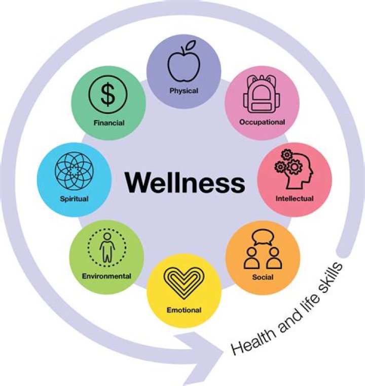 A Guide To Health And Wellness Success