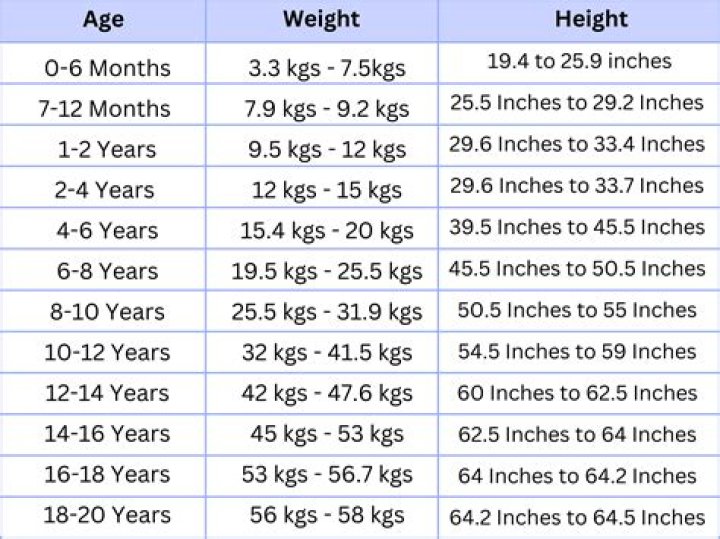 The Complete Guide to Biography, Height, Weight, and More